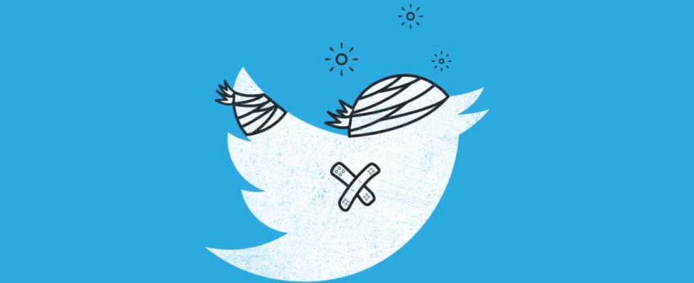 Засновник криптовалюти Ethereum звинуватив Twitter у бездіяльності