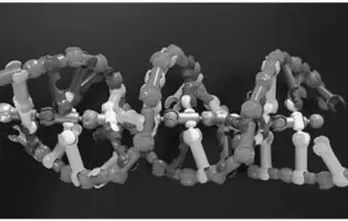 Американські науковці створили інноваційні ДНК-блоки для 3D-будівництва