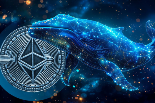 Анонімний криптокит придбав Ethereum на  мільярд