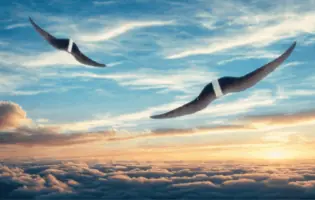 Британські розробники представили дрон нового покоління Learning2Fly