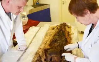 Науковці відкрили унікальні 7000-літні мумії з аномальними ДНК