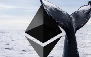 Криптокит переказав Ethereum на рекордні 6 мільйонів після трьох років бездіяльності