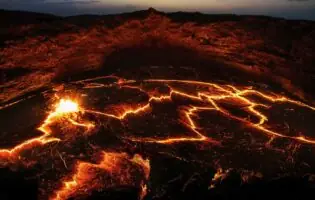 Вчені довели, що масові вимирання і глобальні катастрофи відбуваються на Землі циклічно