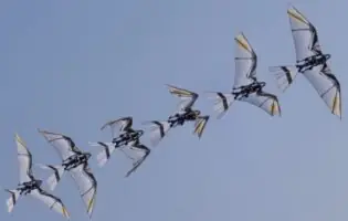 Китайські інженери представили робота RoboFalcon2.0, що імітує політ птахів