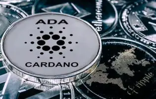 Власник криптовалюти Cardano втратив  мільйонів через помилкову транзакцію
