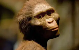 Науковці відкрили древнього предка Homo sapiens, про якого не було відомо раніше