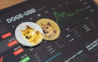 EtherNaysyonal: Dogecoin може зрости на 1200%