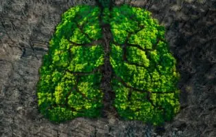 Науковці здійснили сенсаційне відкриття, що може змінити уявлення про еволюцію життя на Землі