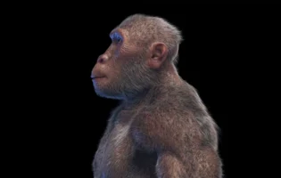 Вчені відкрили древнього предка Homo sapiens, що жив 1,5 мільйона років тому