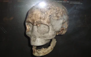 Науковці відкрили новий вид Homo sapiens, який перебував в ізоляції 100 000 років