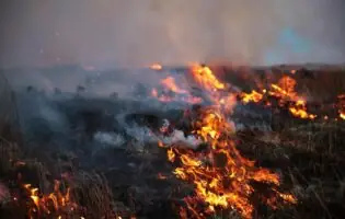 Науковці заявили, що клімат Землі підходить до критичної точки неповернення