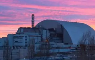 Вчені знайшли у Чорнобилі нову форму життя, що витримує найвищий фон радіації у світі