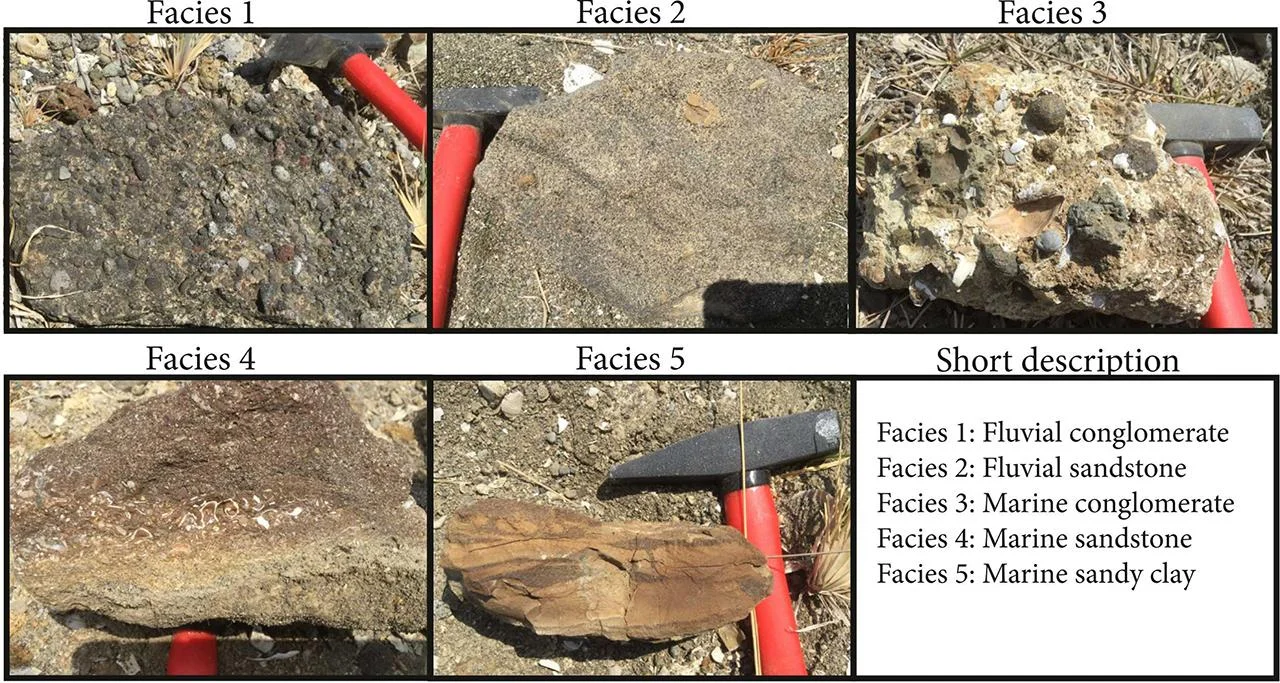 Науковці знайшли рештки Homo erectus, які докорінно змінюють уявлення про еволюцію людини