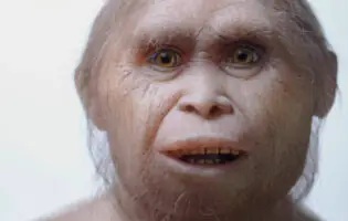 Науковці пояснили, чому зник предок людини Homo floresiensis