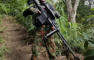Розкриті технічні характеристики китайської бойової гвинтівки QBU-10