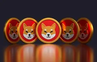 Криптовалюта Shiba Inu ризикує впасти на 90% найближчим часом