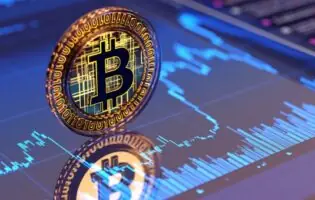 Bitwise: BTC, ETH і SOL вступають у бичачу фазу циклу на найближчі роки