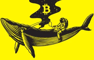 Біткоїн-кит перемістив понад  мільйонів у криптовалюті після 14 років бездіяльності