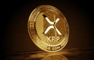 Криптокити XRP вивели 3 мільйони за тиждень