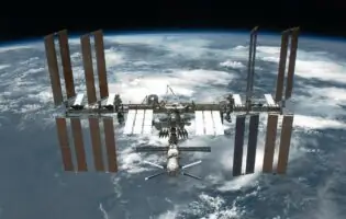 Науковці NASA довели, що живі організми у космосі здатні до мутацій