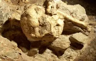 Науковці заявили про відкриття раніше невідомого предка людини