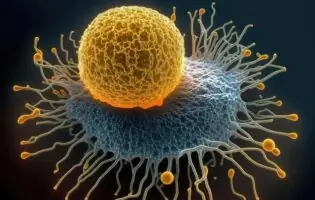 Вчені відкрили живий організм, що порушив фундаментальний закон біології