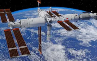 Китайські вчені довели, що живі організми можуть народжувати потомство після перебування у космосі