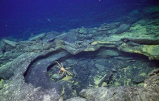 Науковці попередили про аномальне виверження підводного вулкану Axial Seamount найближчим часом