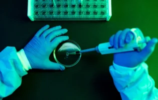 Вперше в історії науковці створили штучну форму життя