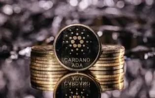 Quantum Ascend: Cardano готується зрости до 