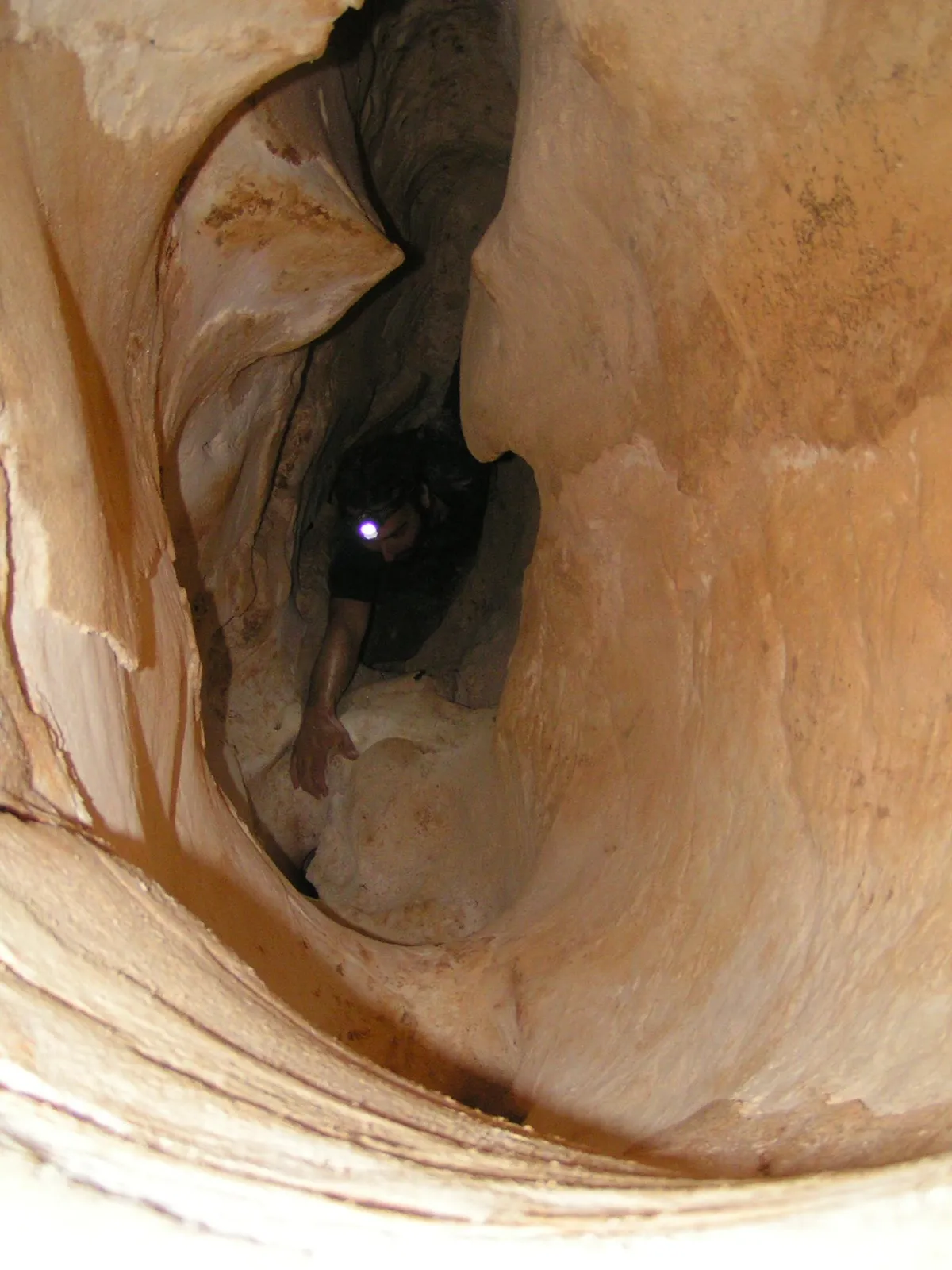 Науковці відкрили невідомі форми життя, що можуть існувати без доступу до води та повітря