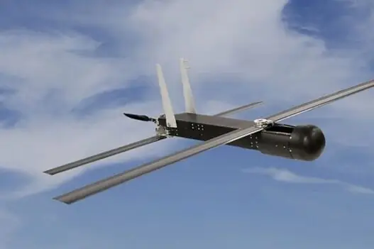 Розробники Raytheon представили новий бойовий дрон Coyote Block 3