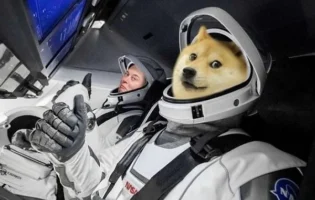 Ілон Маск не зміг спровокувати чергове зростання мем-токена Dogecoin