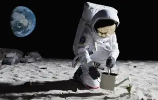 Вчені NASA знайшли спосіб вирощувати рослини на Місяці та Марсі