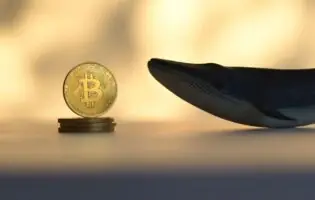Кити масово скуповують Bitcoin і Ethereum після падіння ринку