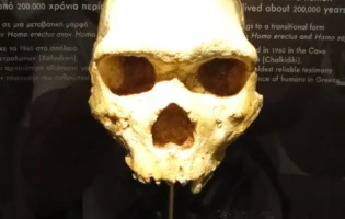 Науковці відкрили нового предка Homo sapiens, який жив 300 000 років тому