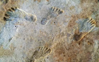 Науковці довели, що перші Homo Sapiens жили на Землі ще 23 тисячі років тому