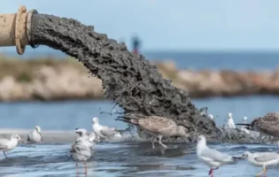 Вчені планують викинути 65 000 літрів хімікатів в океан, щоб зупинити глобальне потепління