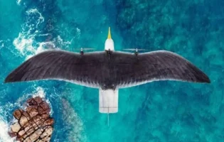 Розкриті технічні характеристики нідерландського дрона Seagull Evo