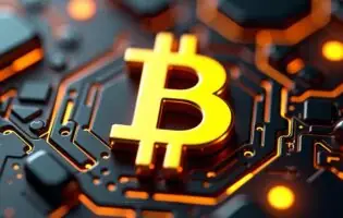 Близько десяти відсотків біткоїнів можуть бути втраченими назавжди