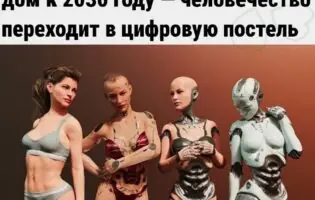 Спеціальні роботи для інтимних речей стануть нормою вже за декілька років