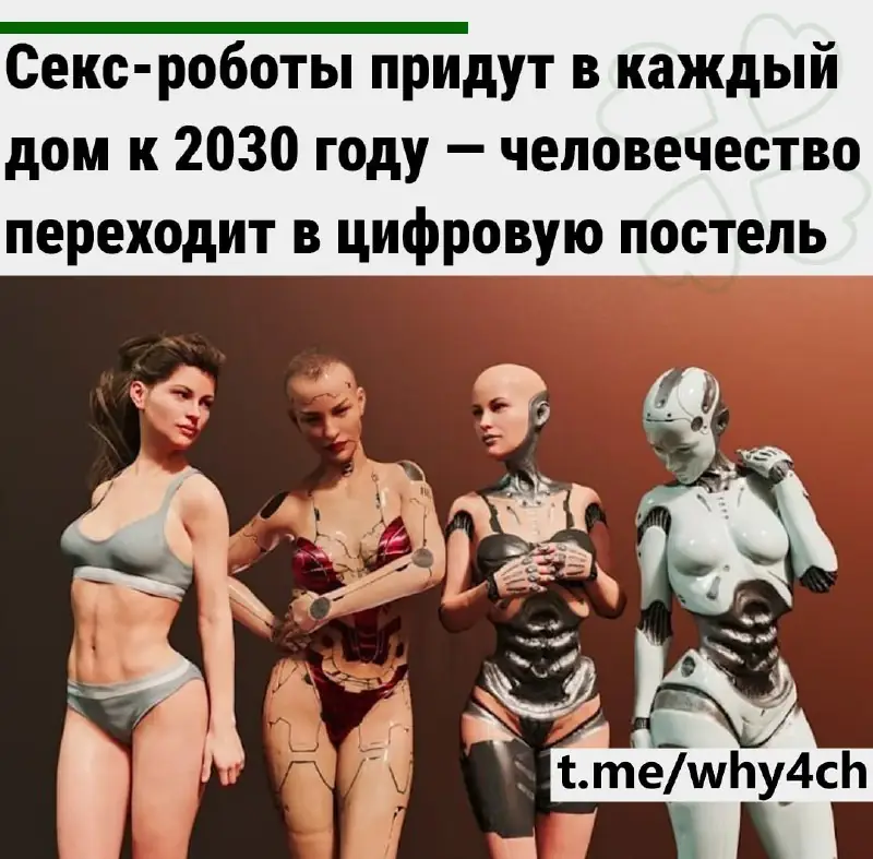 Спеціальні роботи для інтимних речей стануть нормою вже за декілька років