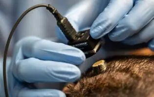 Китайські вчені створили першу у світі систему для зчитування та модуляції мозку