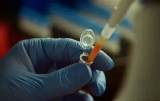 Штучний інтелект самостійно виявив у вірусах невідому ферментну систему